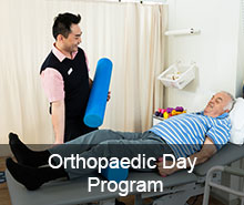 Orthopaedic day program